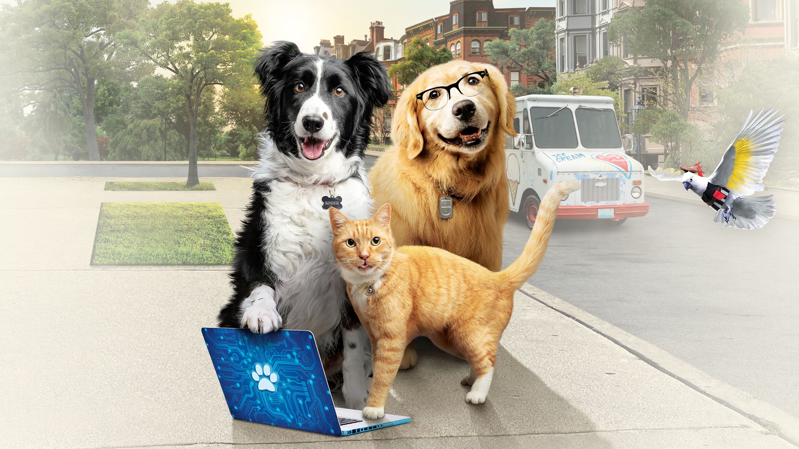 Cats & Dogs 3 Paws Unite Full Movie Movies Anywhere