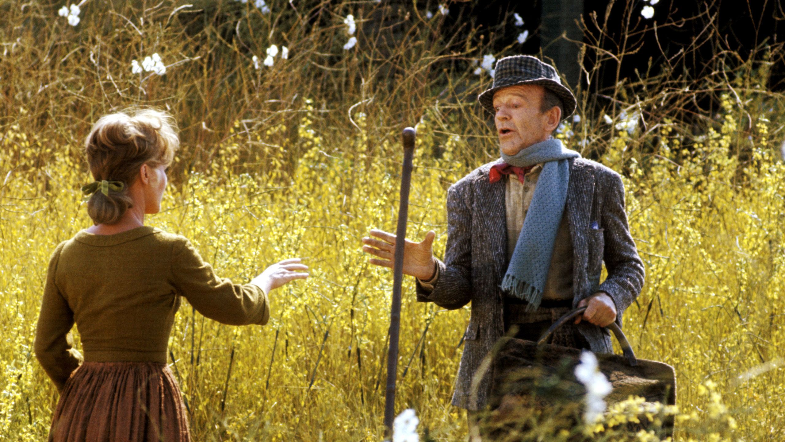 Finian's Rainbow Full Movie Movies Anywhere