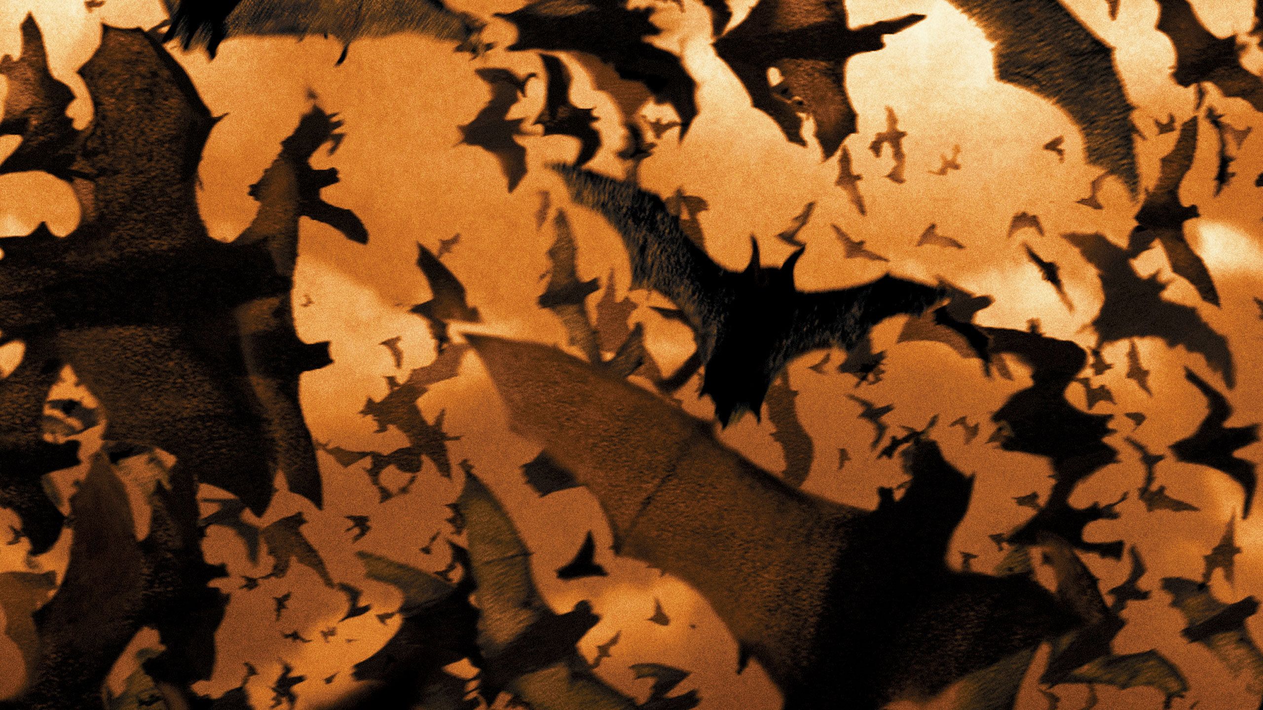 Batman Begins Full Movie Movies Anywhere