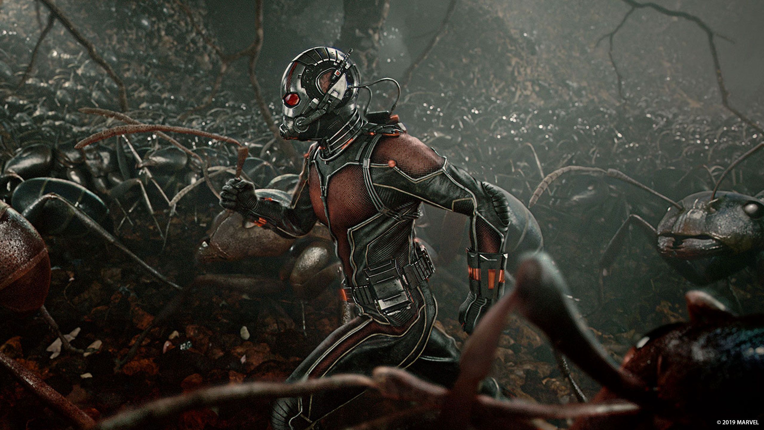 Marvel Studios' AntMan Full Movie Movies Anywhere