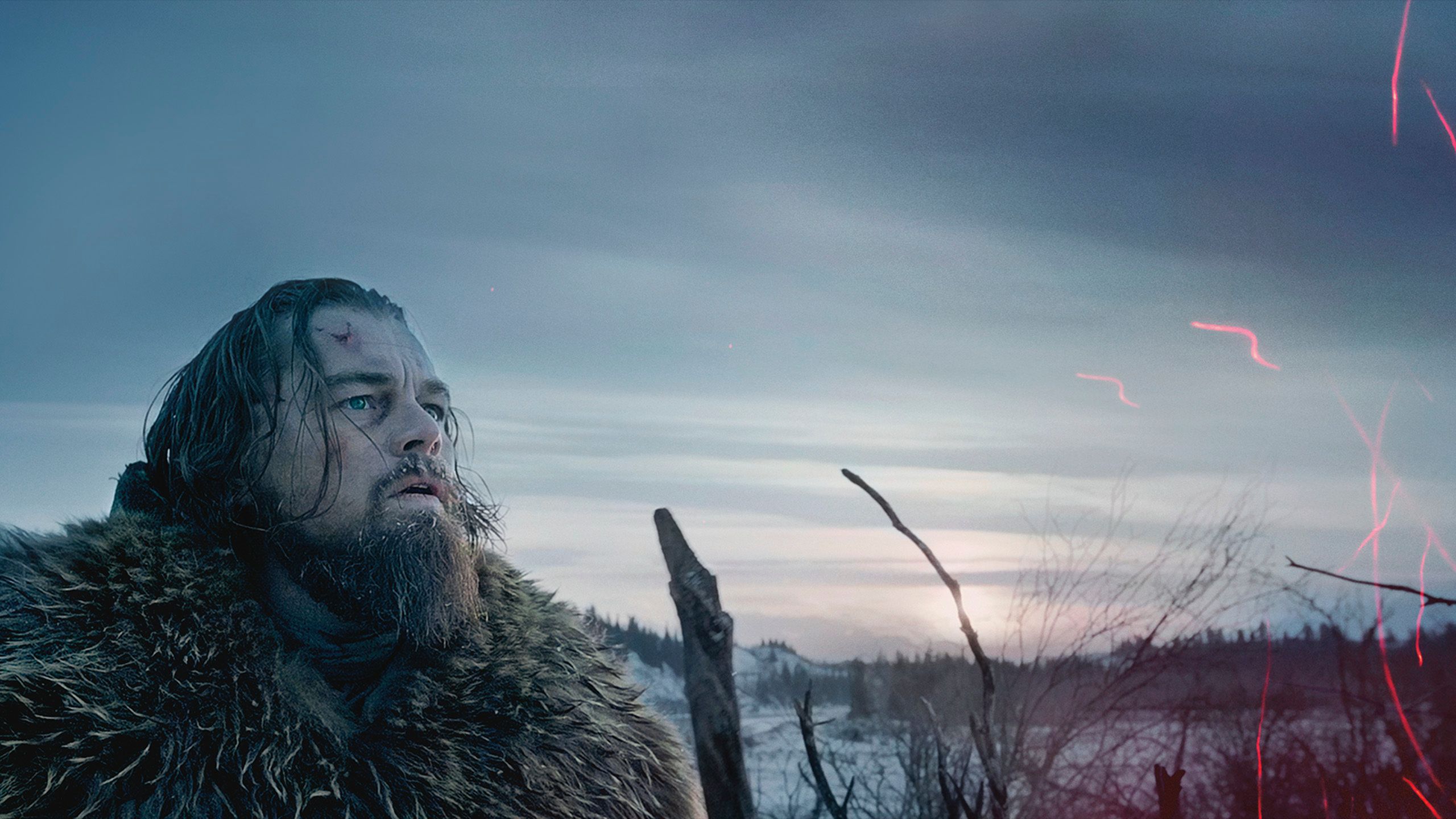 Download The Revenant wallpapers for mobile phone free The Revenant HD  pictures